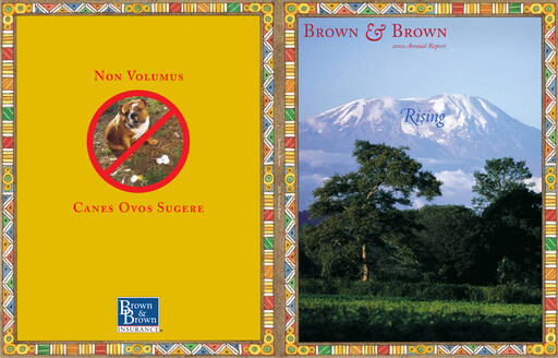 Thumbnail Brown & Brown
 Annual Report 2000