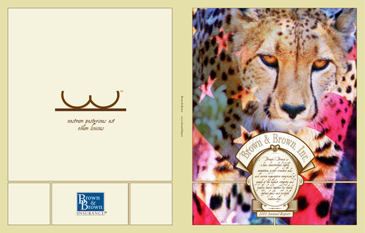 Thumbnail Brown & Brown
 Annual Report 2001