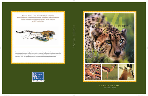 Thumbnail Brown & Brown
 Annual Report 2003