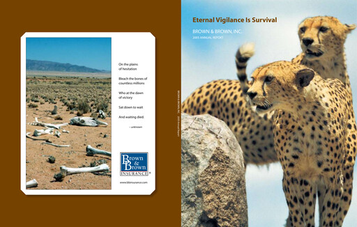 Thumbnail Brown & Brown
 Annual Report 2005