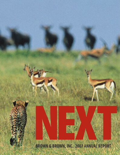 Thumbnail Brown & Brown
 Annual Report 2007