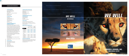 Thumbnail Brown & Brown
 Annual Report 2008
