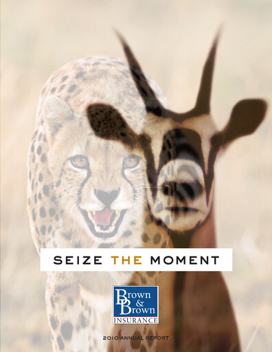 Thumbnail Brown & Brown
 Annual Report 2010