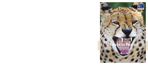 Thumbnail Brown & Brown
 Annual Report 2016