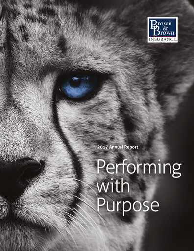 Thumbnail Brown & Brown
 Annual Report 2017