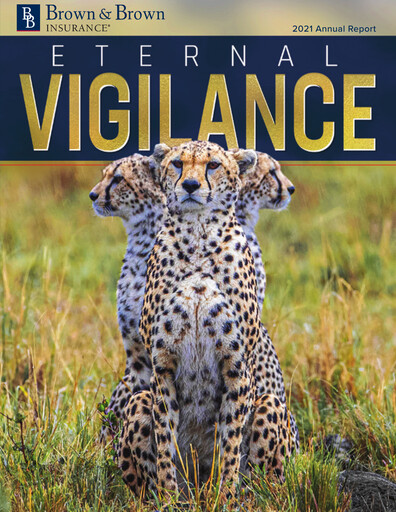 Thumbnail Brown & Brown
 Annual Report 2021