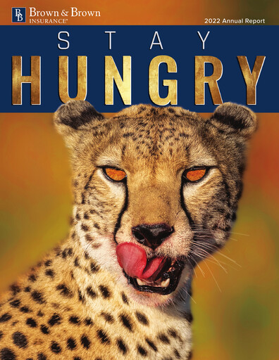 Thumbnail Brown & Brown
 Annual Report 2022