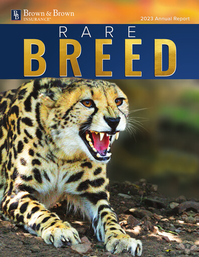 Thumbnail Brown & Brown
 Annual Report 2023