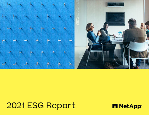 Thumbnail NetApp
 ESG Report 2021