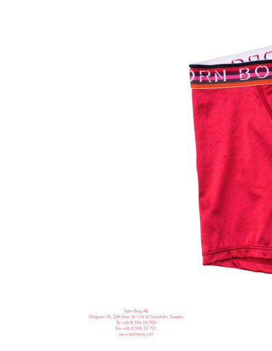 Vorschaubild Björn Borg Jahresbericht 2008