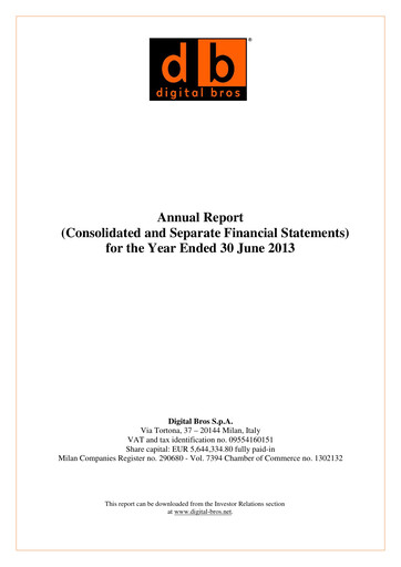 Thumbnail Digital Bros Financial Statement 2012-2013