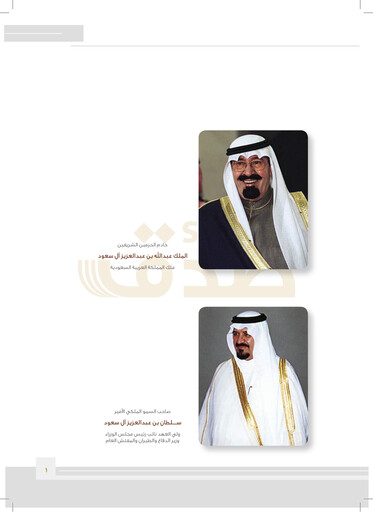 Thumbnail Saudi Industrial Development Company Annual Report 2008