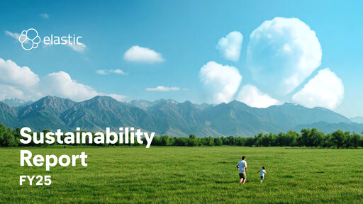 Thumbnail Elastic NV
 Sustainability Report fy2025