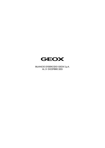 Thumbnail GEOX Financial Statement 2025