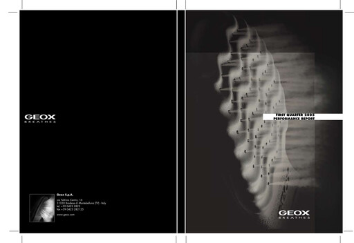 Miniature GEOX Rapport trimestriel 2005-q1
