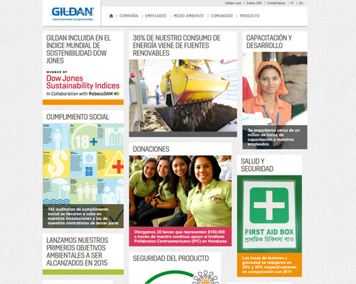 Miniature Gildan Rapport ESG 2012