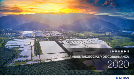 Miniature Gildan Rapport ESG 2020