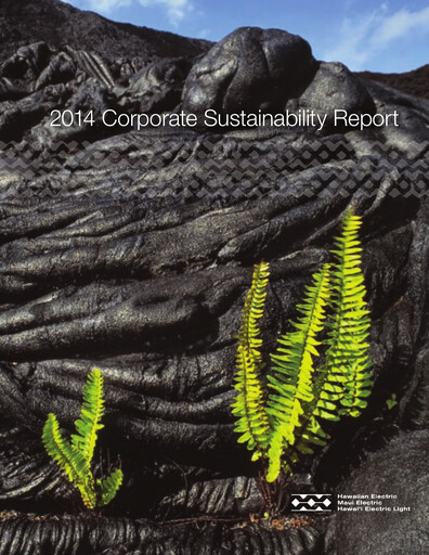 Thumbnail Hawaiian Electric Industries Sustainability Report 2014