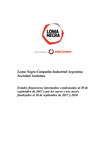 Thumbnail Loma Negra Financial Statement 2017-q3