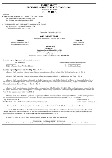 Miniature OGE Energy
 Rapport annuel 2008