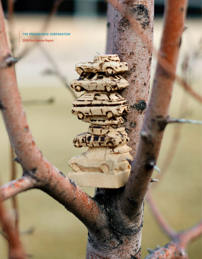 Thumbnail Progressive Quarterly Report 2019-q1