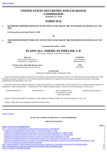 Thumbnail Plains All American Pipeline Quarterly Report 2009-q1