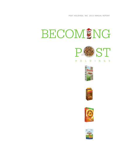 Thumbnail Post Holdings
 Annual Report 2013