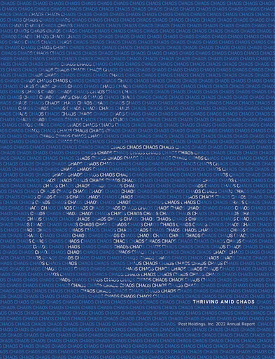 Thumbnail Post Holdings
 Annual Report 2022