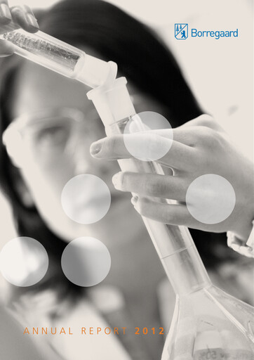 Thumbnail Borregaard Annual Report 2012