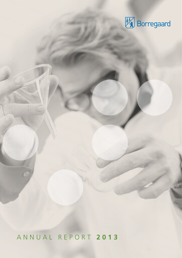 Thumbnail Borregaard Annual Report 2013