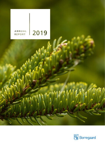 Thumbnail Borregaard Annual Report 2019