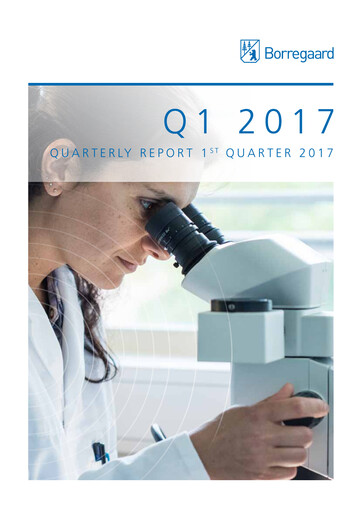 Thumbnail Borregaard Quarterly Report 2017-q1
