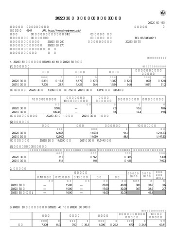 Thumbnail Imagineer Financial Statement fy2022