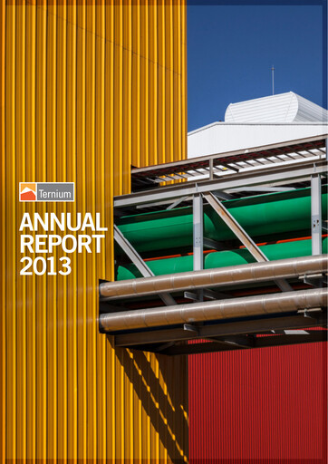 Thumbnail Ternium
 Annual Report 2013