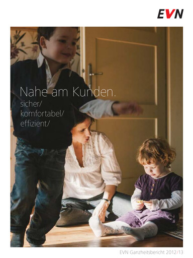 Thumbnail EVN Group
 Annual Report 2013