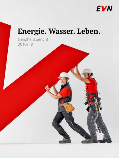 Thumbnail EVN Group
 Annual Report 2019