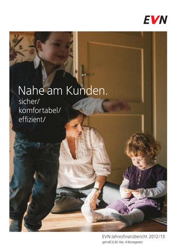 Thumbnail EVN Group
 Financial Report 2012