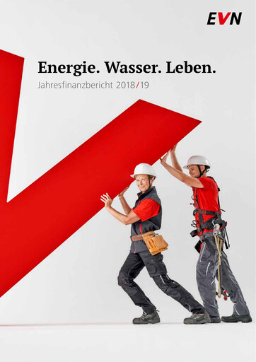 Thumbnail EVN Group
 Financial Statement 2019