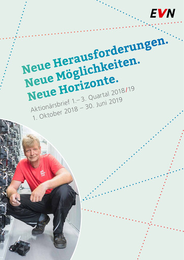 Thumbnail EVN Group
 Quarterly Report 2018-q3