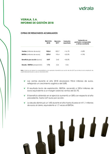 Miniature Vidrala Rapport financier 2018
