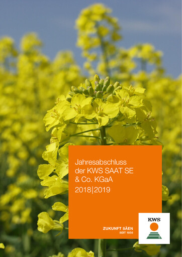 Miniature KWS Rapport financier 2018-2019