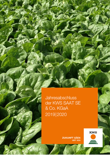 Miniature KWS Rapport financier 2019-2020