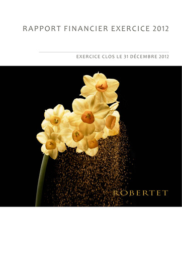 Thumbnail Robertet
 Financial Report 2012