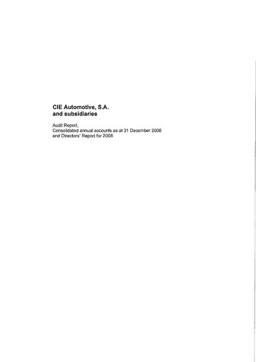 Thumbnail CIE Automotive
 Financial Statement 2008