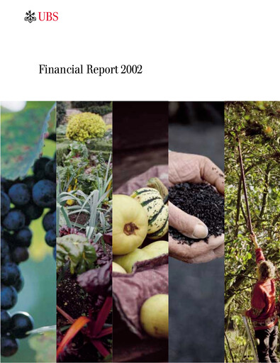 Thumbnail UBS Financial Statement 2002