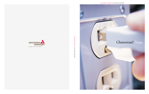 Thumbnail Southern Company Annual Report 2003