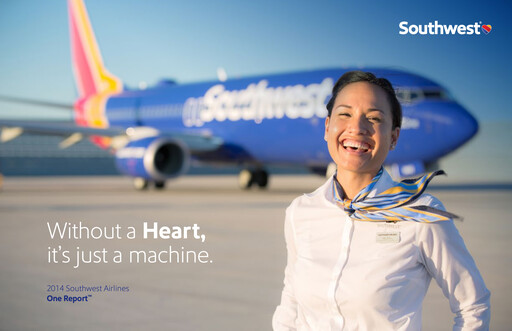 Miniature Southwest Airlines Rapport ESG 2014