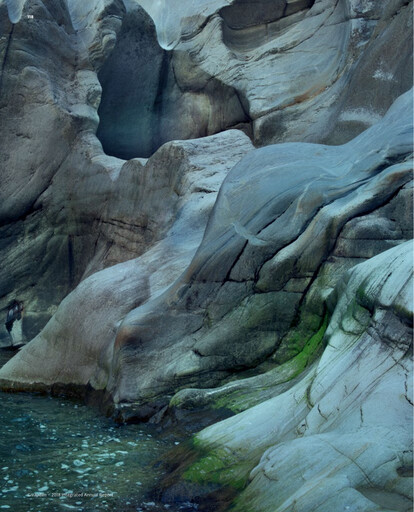 Thumbnail Givaudan Financial Report 2018