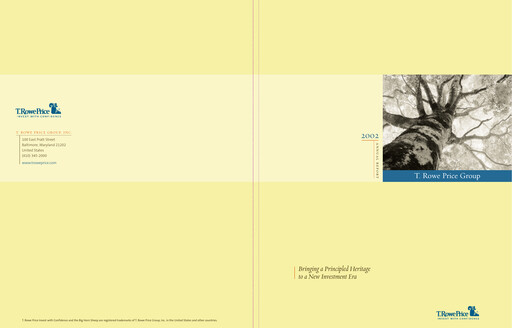 Thumbnail T. Rowe Price
 Annual Report 2002