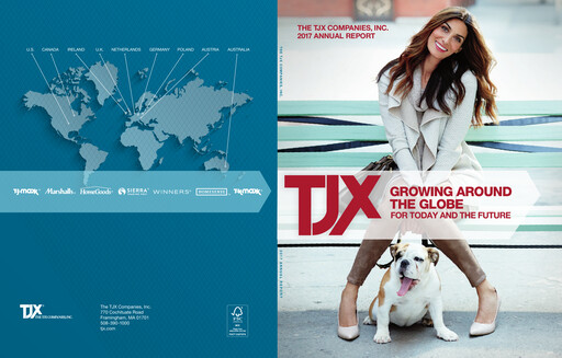 Thumbnail TJX Companies Annual Report 2017